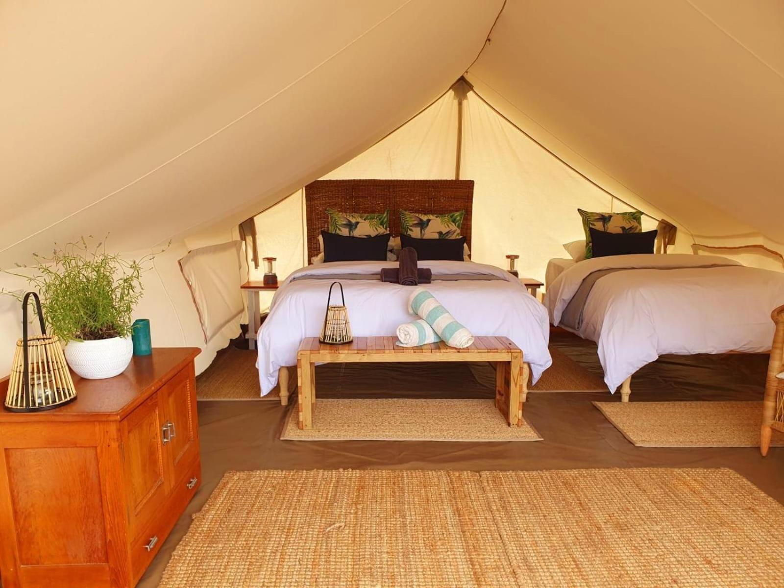 Leopard Valley Eco Retreat Citrusdal Δωμάτιο φωτογραφία