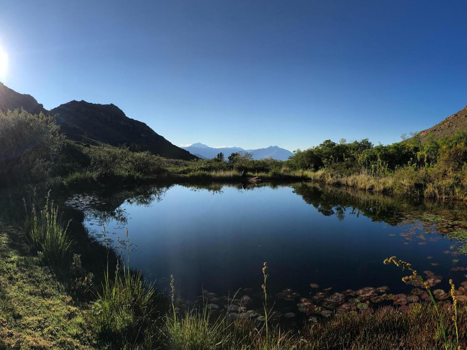 Leopard Valley Eco Retreat Citrusdal Δωμάτιο φωτογραφία