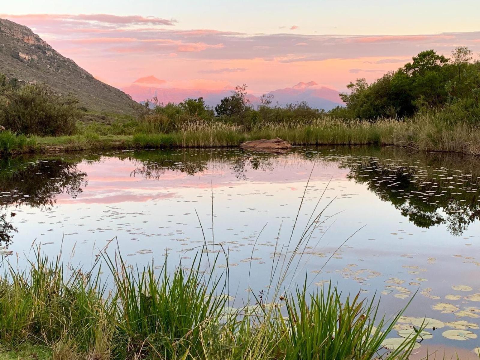 Leopard Valley Eco Retreat Citrusdal Εξωτερικό φωτογραφία