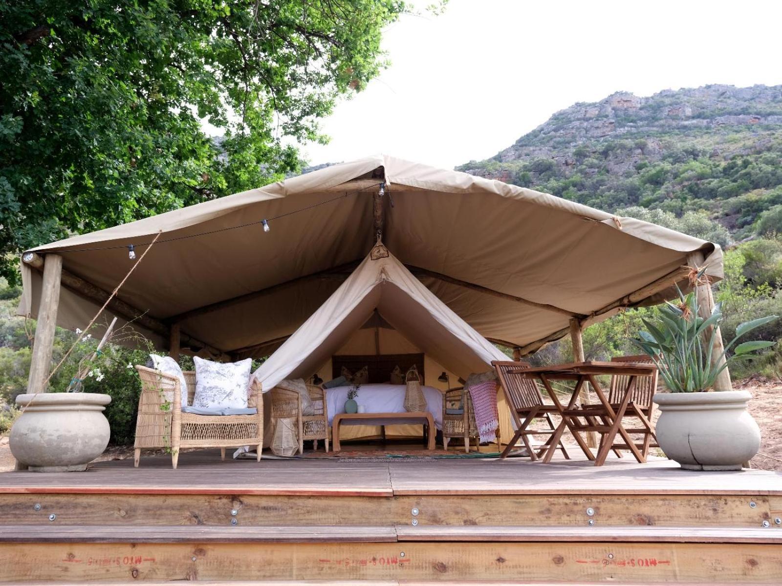 Leopard Valley Eco Retreat Citrusdal Δωμάτιο φωτογραφία